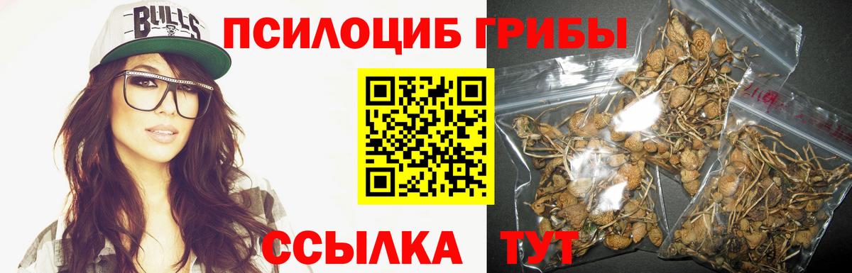 Элиста  Псилоцибиновые грибы Magic Shrooms  Вход с VPN  Галлюциногенные грибы прущие грибы 