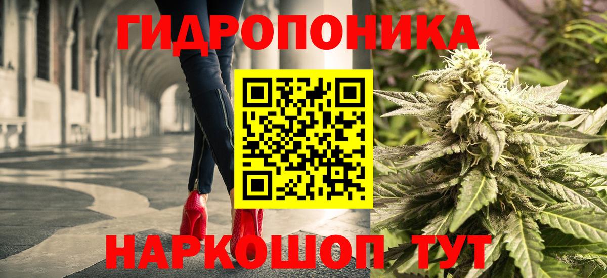 Элиста  МАРИХУАНА планчик  Вход с VPN  Канабис Amnesia  Канабис ГИДРОПОН 